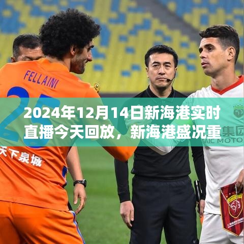 2024年12月14日新海港盛況重現(xiàn)，實時直播日回顧與回放