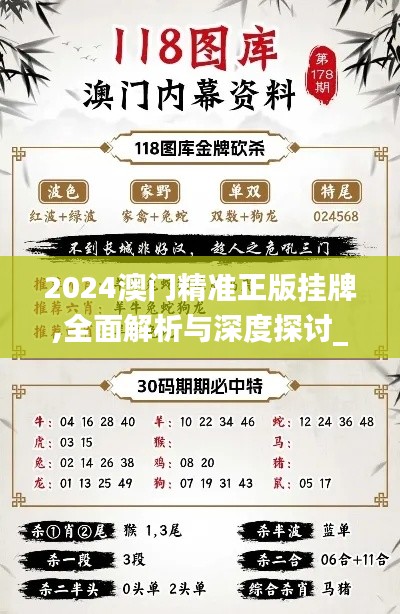 2024澳門精準正版掛牌,全面解析與深度探討_專業(yè)版6.453