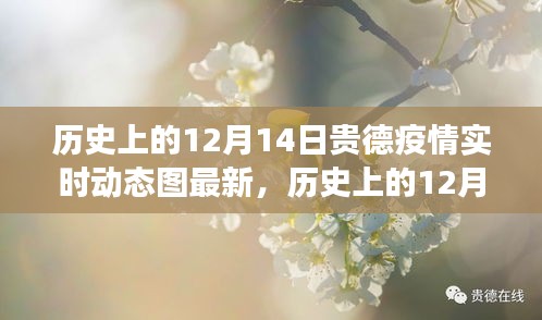 歷史上的12月14日貴德疫情實(shí)時(shí)動(dòng)態(tài)圖最新解讀與更新