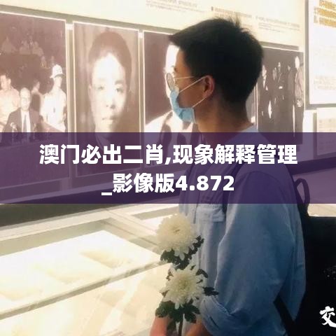 澳門必出二肖,現(xiàn)象解釋管理_影像版4.872