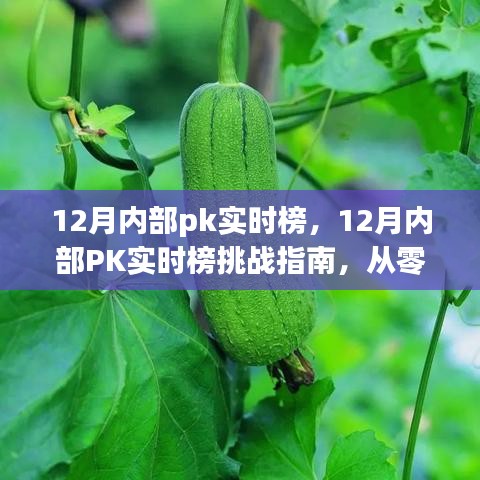 從零起步到高手的進階之路，12月內部PK實時榜挑戰(zhàn)指南