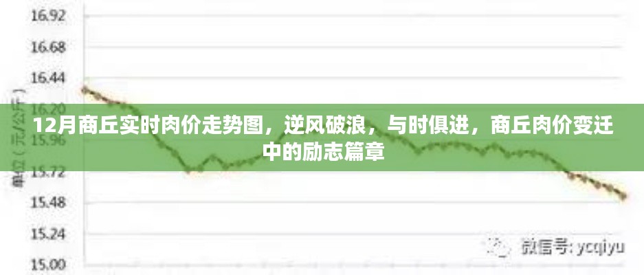 商丘肉價(jià)變遷，逆風(fēng)破浪的勵(lì)志篇章與實(shí)時(shí)走勢(shì)解析