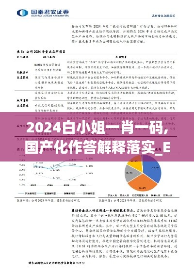 2024白小姐一肖一碼,國產(chǎn)化作答解釋落實_Elite9.945