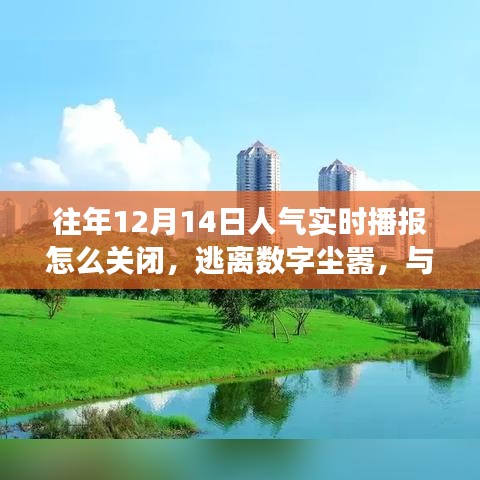 如何關閉人氣實時播報，尋找自然美景之旅，逃離數字塵囂的指南