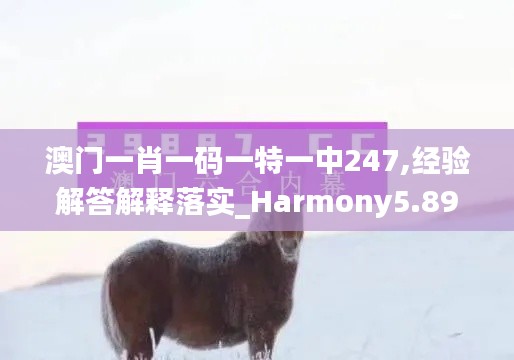 澳門一肖一碼一特一中247,經(jīng)驗解答解釋落實_Harmony5.893