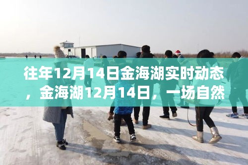 金海湖12月14日自然之旅的心靈覺醒紀(jì)實(shí)