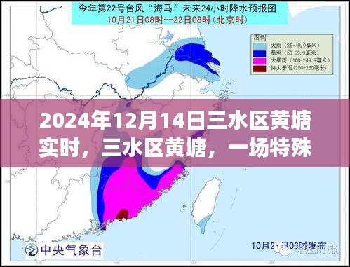 三水區(qū)黃塘，特殊時刻的回顧與記錄（2024年12月14日）