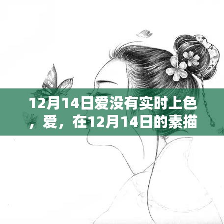 12月14日素描中的無聲之愛，悄然上色的浪漫情感