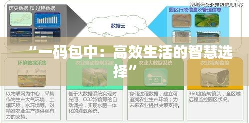“一碼包中：高效生活的智慧選擇”