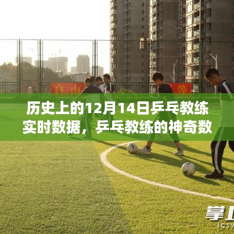 乒乓教練的神奇數(shù)據(jù)日，歷史回顧與溫馨故事