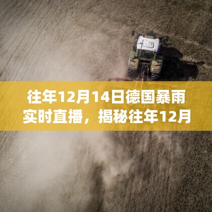 揭秘德國(guó)暴雨，實(shí)時(shí)直播下的天氣巨變與往年12月14日的暴雨紀(jì)實(shí)