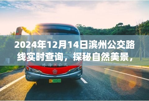 濱州公交路線(xiàn)實(shí)時(shí)查詢(xún)，啟程公交之旅，探尋自然美景與內(nèi)心寧?kù)o的交匯點(diǎn)