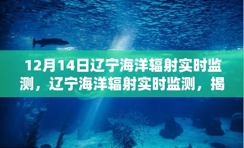 揭秘科技力量與環(huán)保責(zé)任，遼寧海洋輻射實(shí)時(shí)監(jiān)測(cè)詳解（要點(diǎn)詳解）