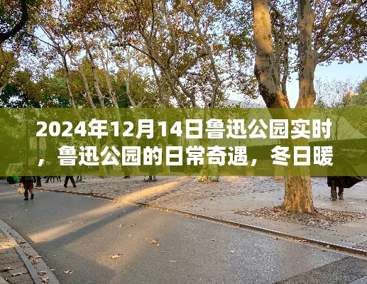 魯迅公園冬日暖陽下的日常奇遇與溫馨時(shí)光紀(jì)實(shí)（實(shí)時(shí)更新）