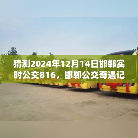 邯鄲公交奇遇記，揭秘與公交816的不解之緣，預(yù)測2024年12月14日實時動態(tài)