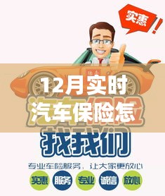 冬日暖陽下的車險(xiǎn)選購之旅，如何購買實(shí)時(shí)汽車保險(xiǎn)，為愛車與友情護(hù)航