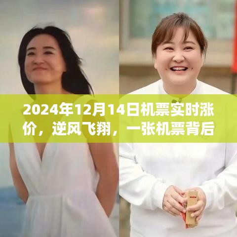 逆風(fēng)飛翔背后的溫情故事，一張機(jī)票的實(shí)時漲價與感人故事