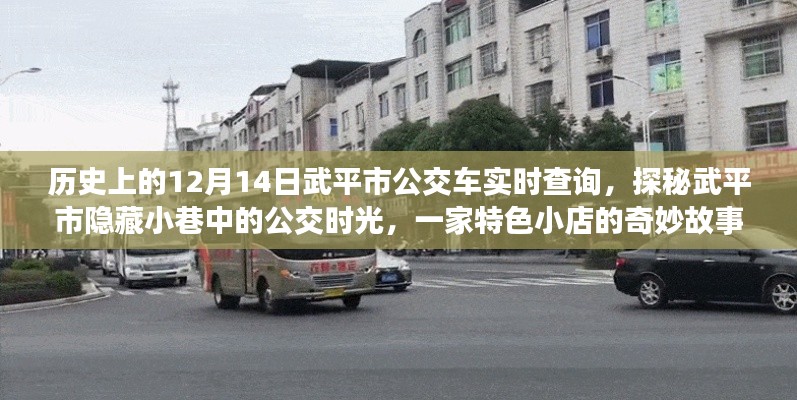 武平市公交探秘，歷史實(shí)時(shí)查詢(xún)與隱藏小巷的公交時(shí)光之旅特色小店故事