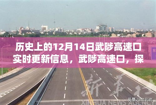 武陟高速口，探尋自然美景的啟程之地，揭秘歷史與未來，奇妙旅程盡在12月14日