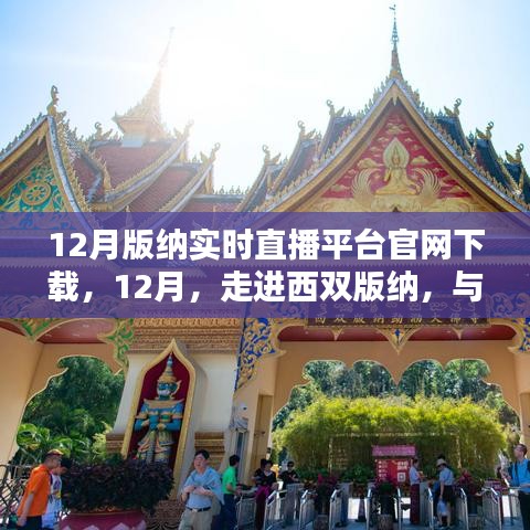 西雙版納實(shí)時(shí)直播平臺(tái)官網(wǎng)下載盛況回顧，與大自然共舞，體驗(yàn)直播魅力