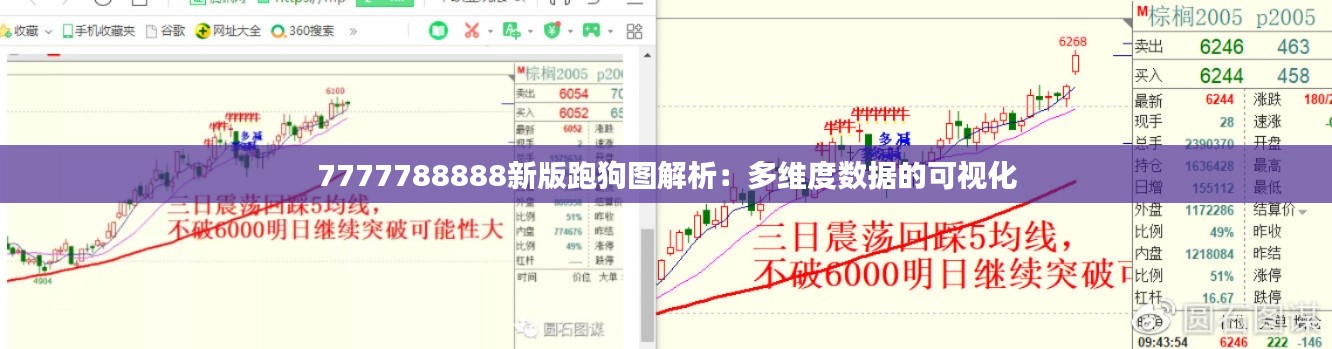 7777788888新版跑狗圖解析：多維度數(shù)據(jù)的可視化