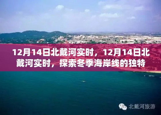 探索冬季北戴河海岸線的獨(dú)特魅力，實(shí)時(shí)報(bào)道與體驗(yàn)分享