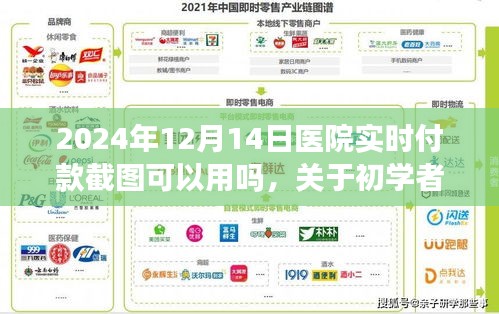 醫(yī)院實(shí)時(shí)付款截圖功能使用指南，初學(xué)者與進(jìn)階用戶步驟詳解（2024年）