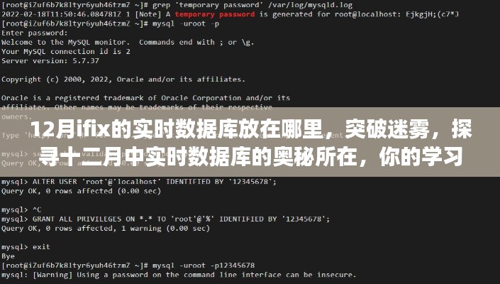 探尋十二月實時數(shù)據(jù)庫位置，學習之旅啟程