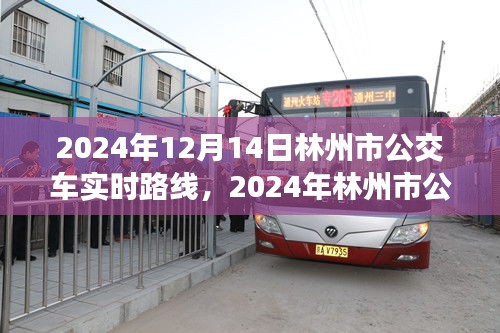 2024年林州市公交車(chē)實(shí)時(shí)路線指南，12月14日最新路線