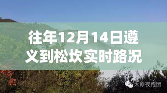 遵義松坎之旅，自然懷抱中的心靈寧靜與實時路況查詢