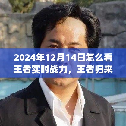 王者歸來(lái)，探尋自然美景之旅與解鎖內(nèi)心平靜之力，實(shí)時(shí)戰(zhàn)力指南（2024年12月14日）