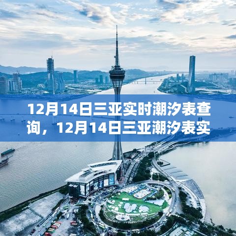 12月14日三亞潮汐表實時查詢攻略，從新手到進階的全方位教程