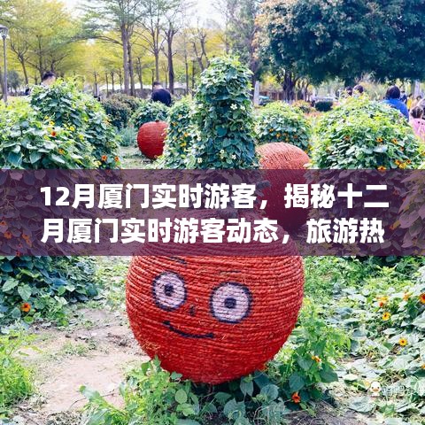 揭秘十二月廈門游客動態(tài)，旅游熱點(diǎn)、特征與活動亮點(diǎn)