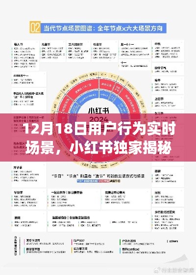 小紅書獨家揭秘，12月18日用戶行為實時場景全解析與洞察