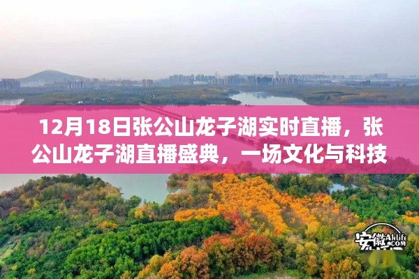 張公山龍子湖直播盛典，文化與科技的璀璨交融之夜
