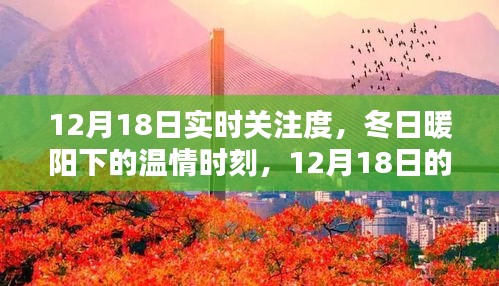 12月18日實時關(guān)注，冬日暖陽下的溫情時刻