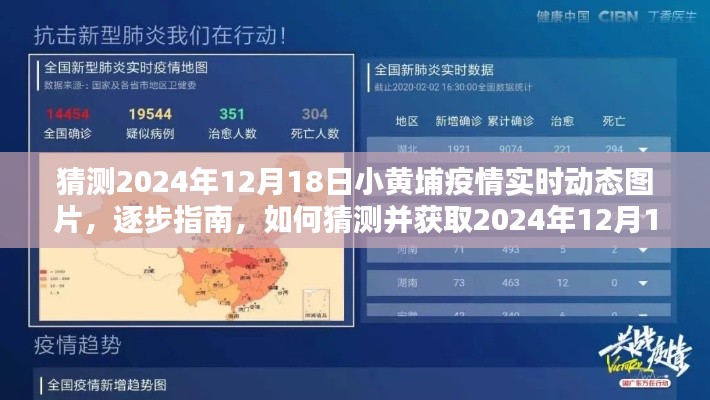 揭秘，如何獲取與猜測(cè)2024年小黃埔疫情實(shí)時(shí)動(dòng)態(tài)圖片指南
