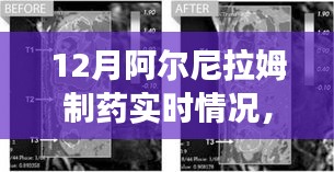 阿爾尼拉姆制藥12月實(shí)時(shí)動(dòng)態(tài)，生產(chǎn)進(jìn)展、市場(chǎng)洞察一覽無(wú)余