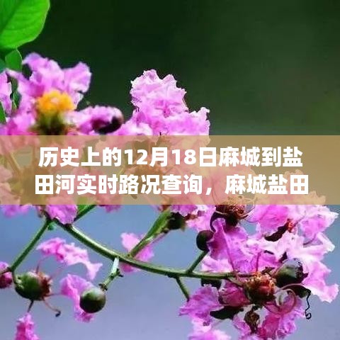 麻城鹽田河，一條路上的故事與溫情——實時路況查詢記錄