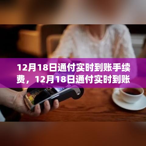 12月18日通付實時到賬手續(xù)費調整解析，新政策費用標準及其影響