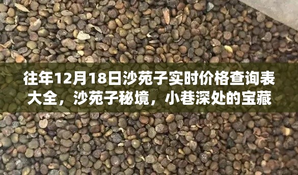 沙苑子實(shí)時(shí)價(jià)格查詢表及秘境探秘，小巷深處的寶藏與價(jià)格探秘之旅