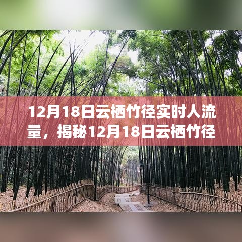 揭秘，云棲竹徑在12月18日的實時人流量深度解析與洞察報告