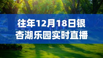 重溫銀杏湖樂園夢(mèng)幻之旅，往年12月18日直播盛典回顧