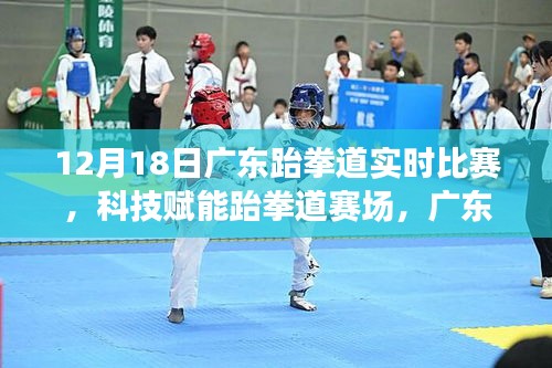 科技賦能跆拳道賽場，廣東跆拳道實時比賽智能體驗日紀(jì)實
