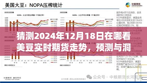 美豆實(shí)時(shí)期貨走勢(shì)展望，探尋2024年12月18日走勢(shì)預(yù)測(cè)與洞察