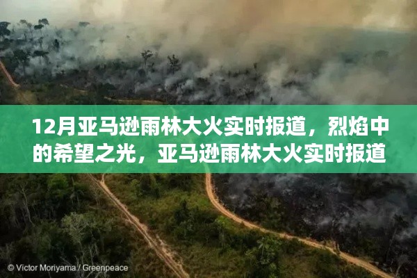亞馬遜雨林大火實(shí)時(shí)報(bào)道，烈焰中的希望與挑戰(zhàn)，啟示背后的故事與反思