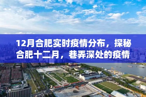 合肥十二月疫情探秘，巷弄深處的實時分布與獨特小店的故事
