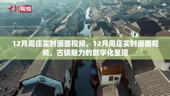 數(shù)字化呈現(xiàn)周莊古鎮(zhèn)的冬季魅力實時畫面視頻