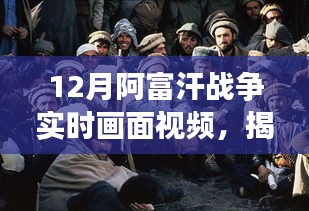 三大要點深度解析