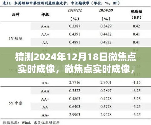 微焦點(diǎn)實(shí)時(shí)成像技術(shù)，觸摸科技脈搏，預(yù)見未來的科技展望（2024年12月18日）